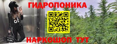 шишки Абинск