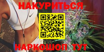 шишки Абинск