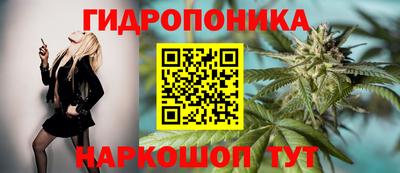 шишки Абинск