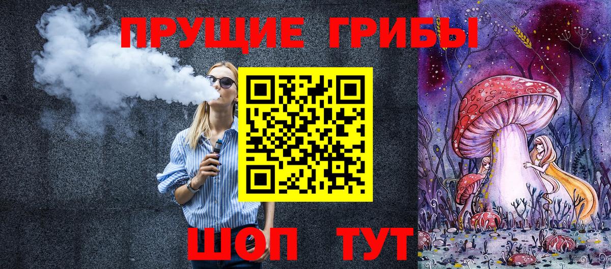 Галлюциногенные грибы прущие грибы  Вход с VPN  Азнакаево  Галлюциногенные грибы Psilocybe 